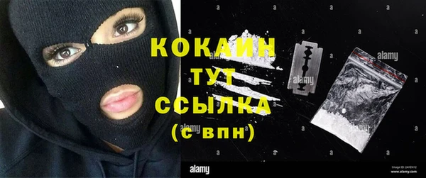 мдпв Михайлов
