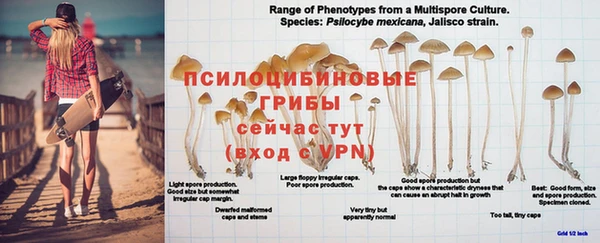 мдпв Михайлов
