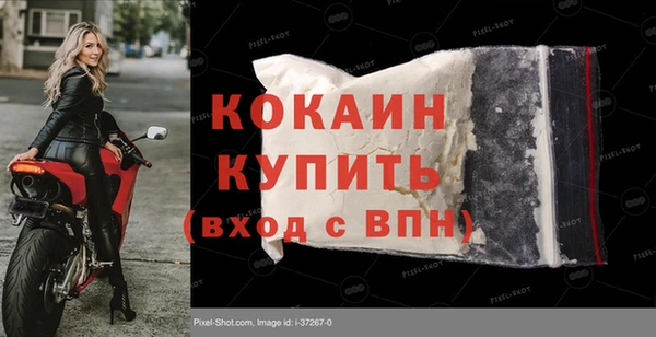 мдпв Михайлов