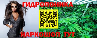 mix Гатчина