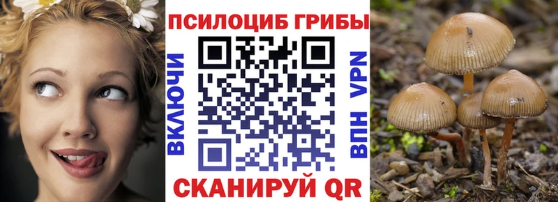Псилоцибиновые грибы GOLDEN TEACHER  Куйбышев 