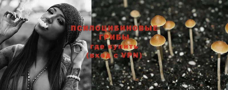 где купить наркоту  Куйбышев  Псилоцибиновые грибы Magic Shrooms 