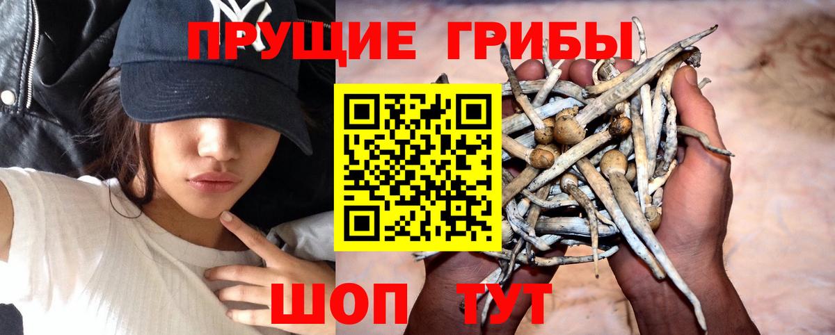 Канабис  Куйбышев  Вход с VPN  ГАШИШ  Меф  Кокаин  Меф кристаллы  ГАШИШ 