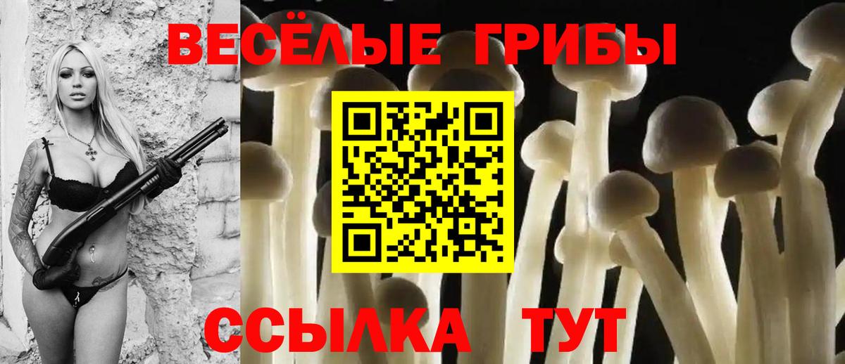 Галлюциногенные грибы мухоморы  Вход с VPN  Куйбышев  Псилоцибиновые грибы Psilocybine cubensis 